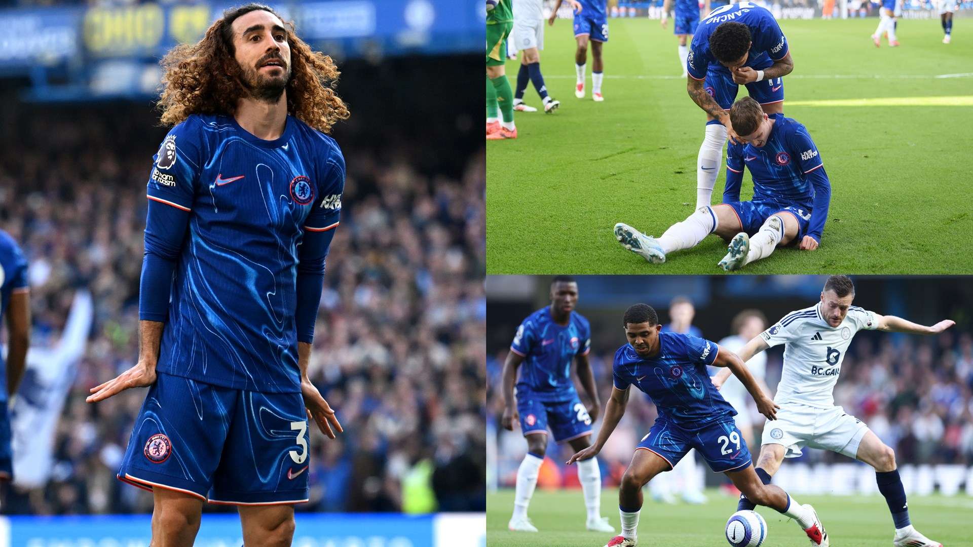 荷兰队的队 荷兰队的队