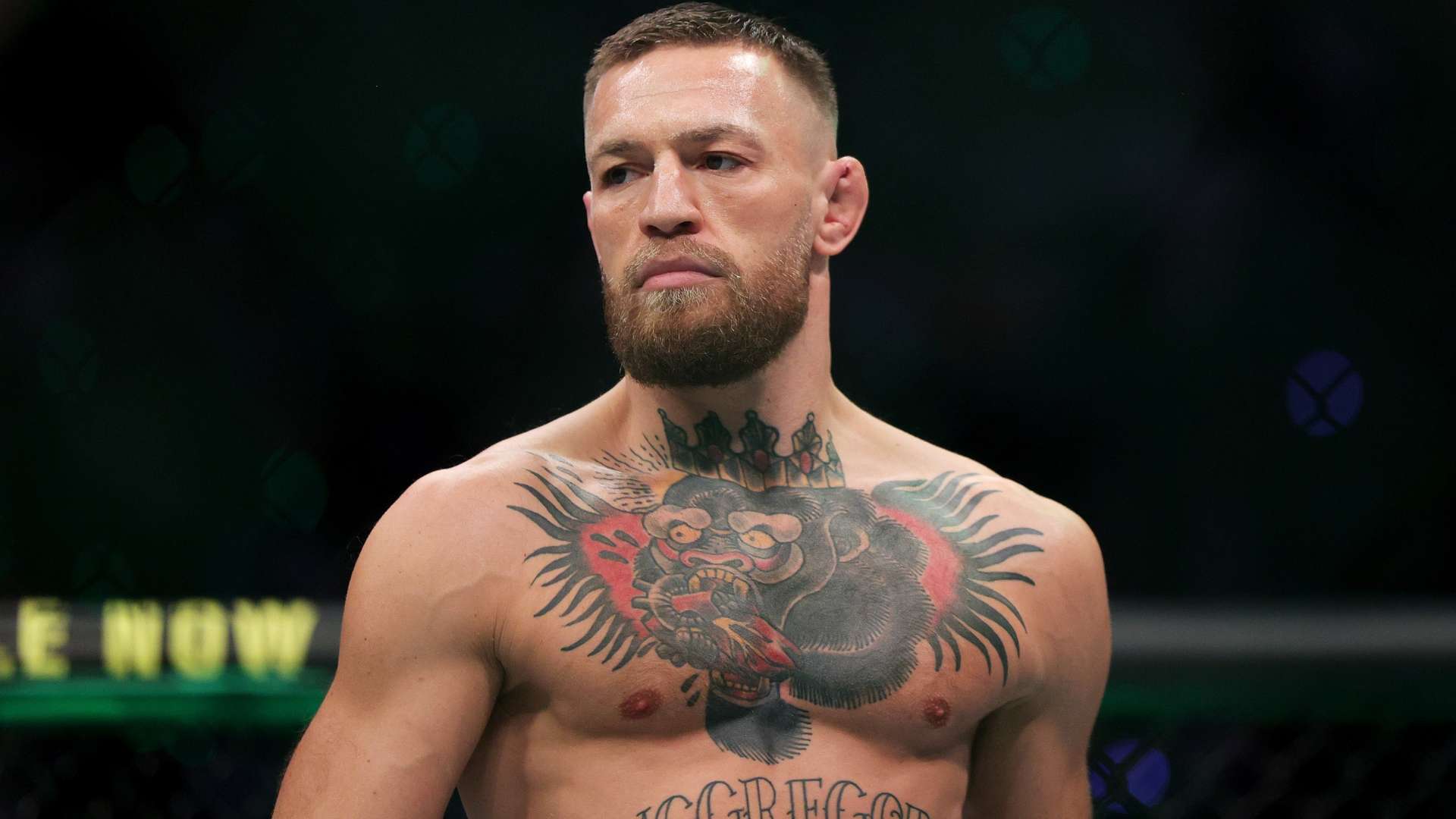 我们可以看 我们可以看